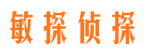 紫金市侦探调查公司